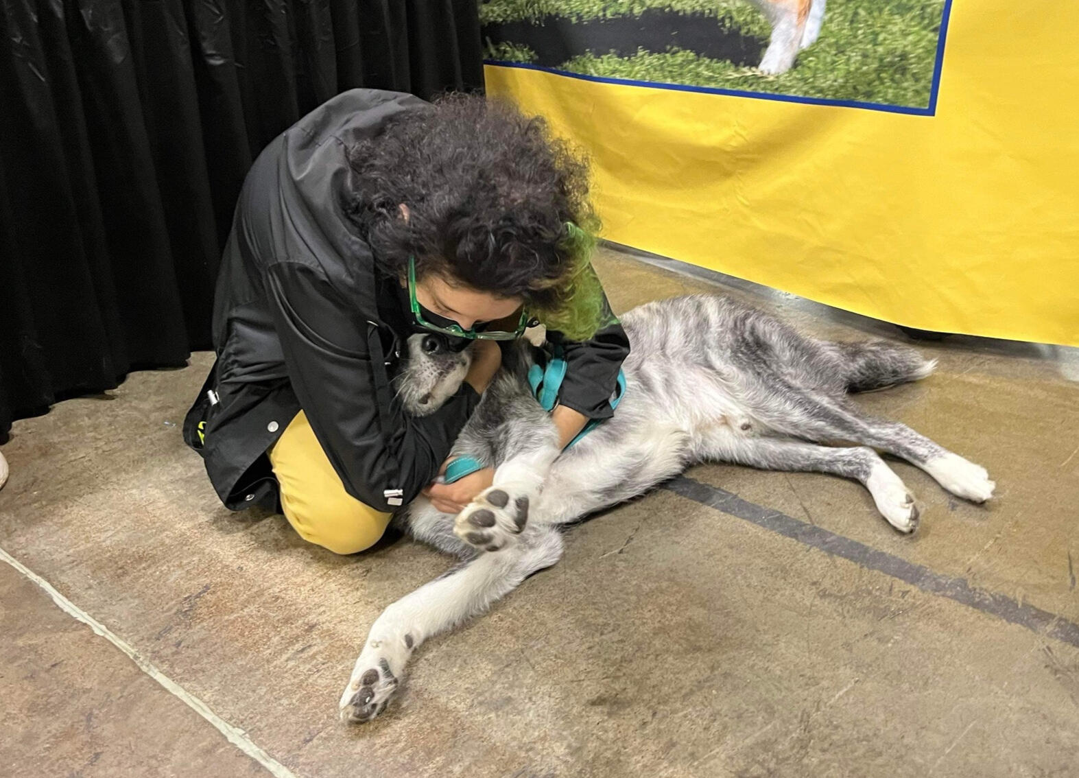 Japanese Akitainu enamel pin, designed by Nao.